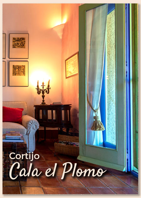 home_cortijo3